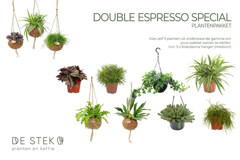 PAKKET - Kamerplantenset Double Espresso Special