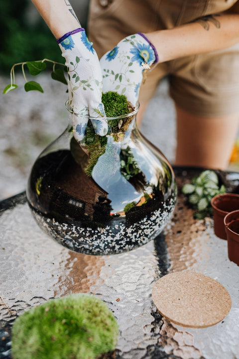 WORKSHOP - Terrarium maken en verzorgen (26/09)