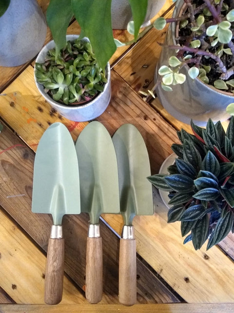 GEREEDSCHAP - Groentinten handschopje