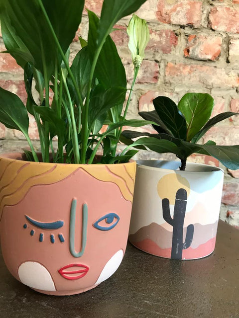 PAKKET - Breng wat zon op je bureau