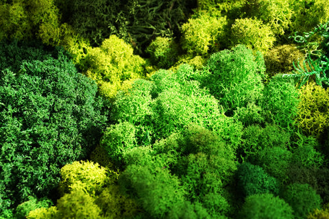 WORKSHOP - mosmuren bouwen en samenstellen – creëer je eigen kunstwerk (10/10)