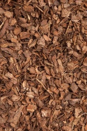 BODEM - Sylvesterschors