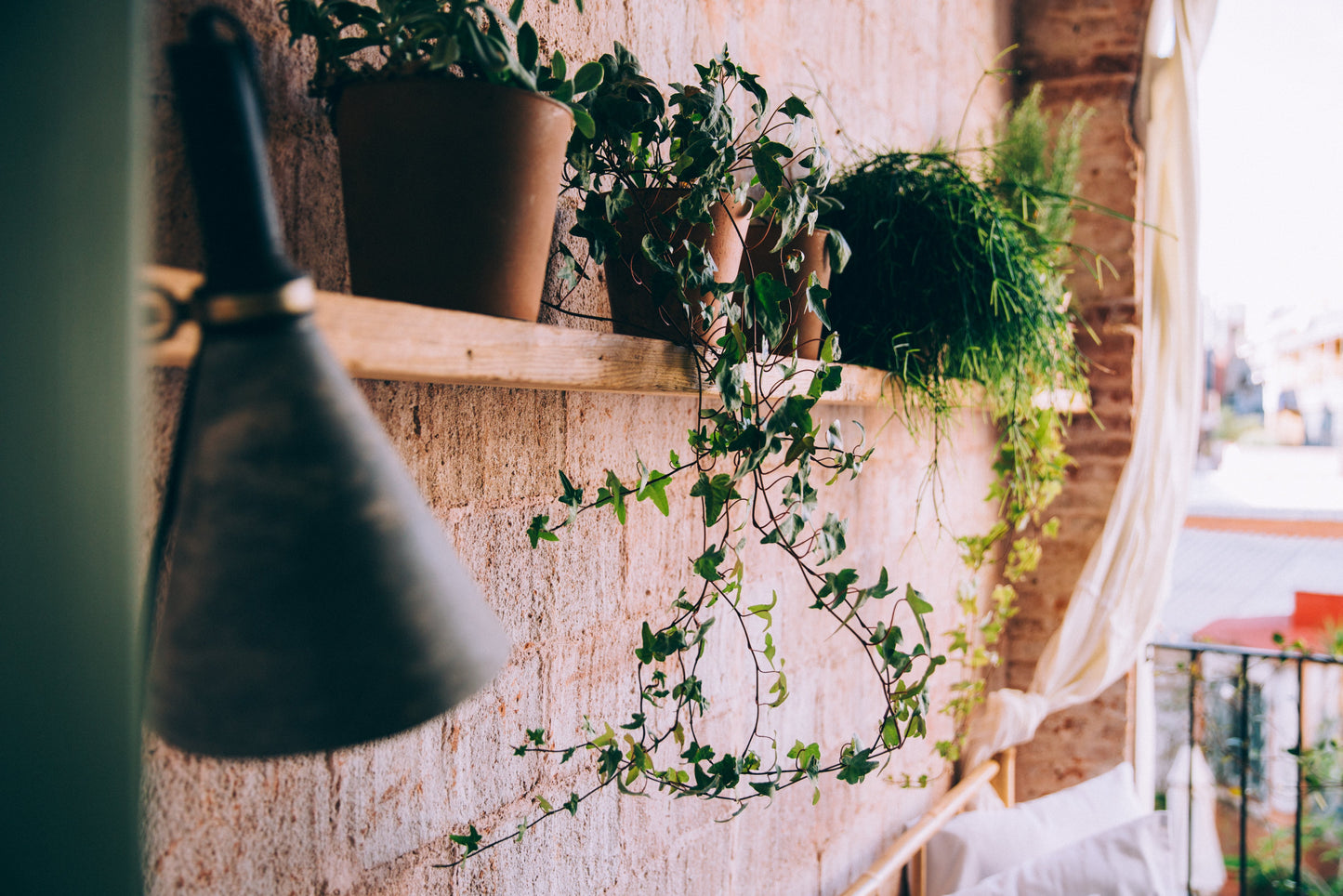 PAKKET - Groene planten box