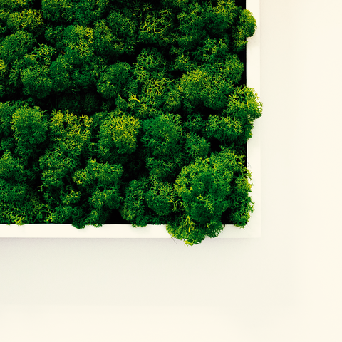 WORKSHOP - mosmuren bouwen en samenstellen – creëer je eigen kunstwerk (10/10)